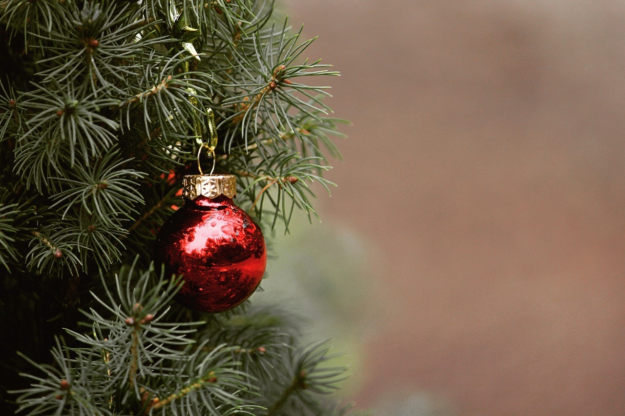Vente de sapins de Noël