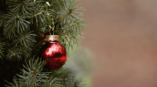 Vente de sapins de Noël